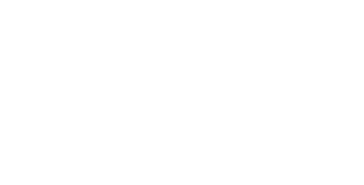 TeamSkeet AllStars logo