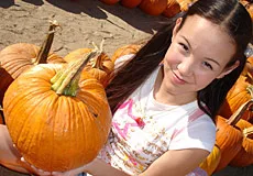 Pumpkin Patch Pussy - PornPros