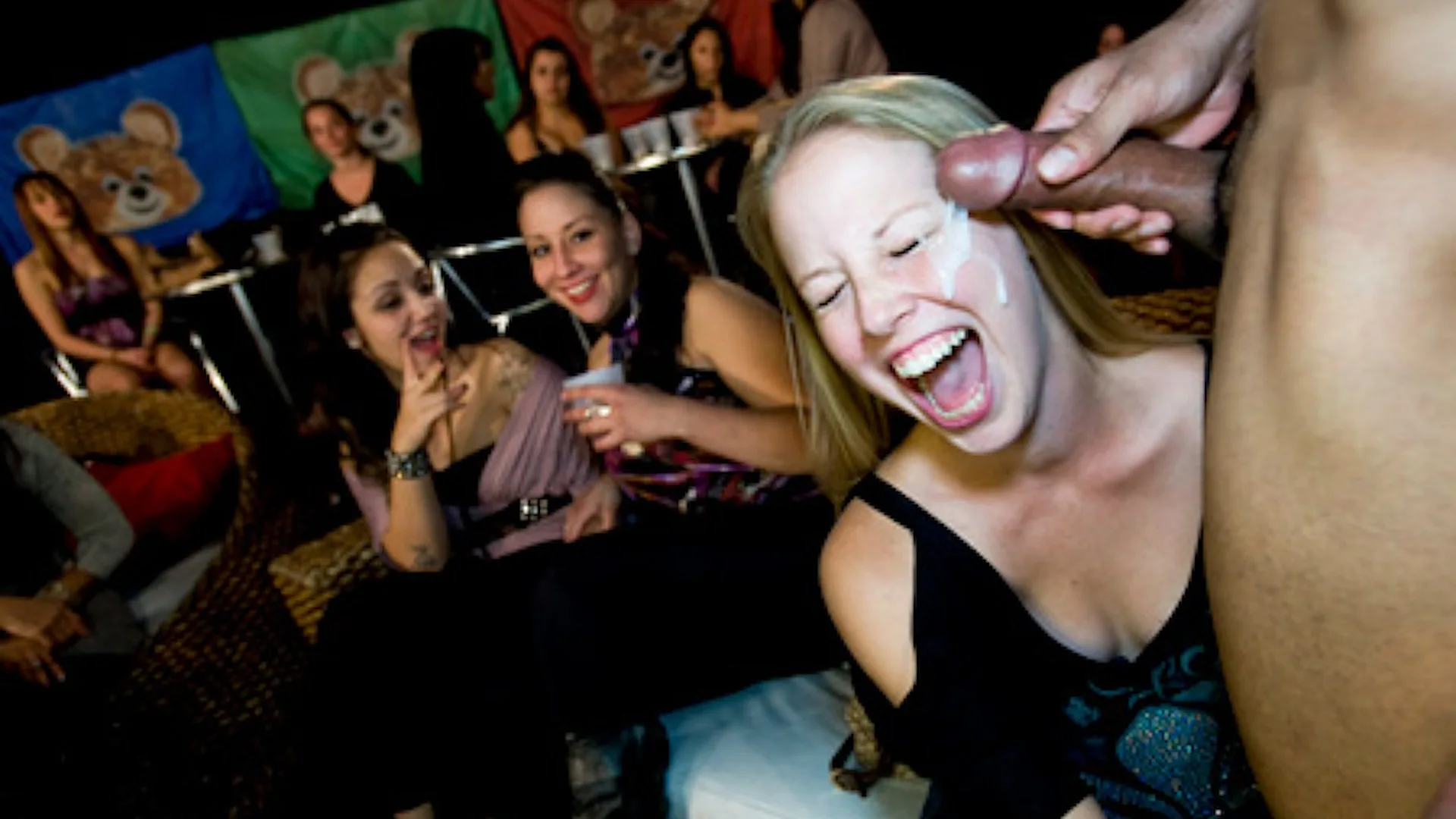 Year End Blowout!! - Dancing Bear - 418364